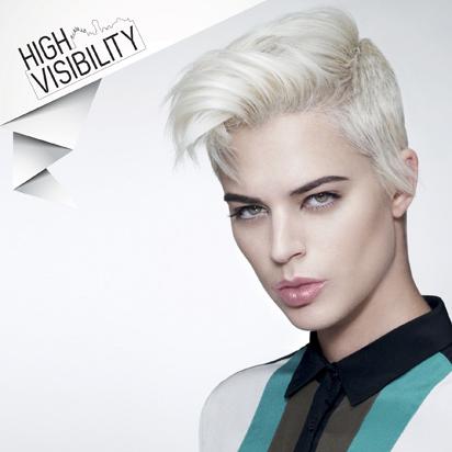 Alfaparf product: Visibility